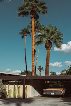 a car is parked in front of some palm trees and a building with a garage