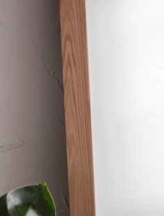 a green plant sitting in front of a white wall next to a wooden framed mirror