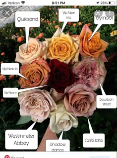 a bunch of flowers that are labeled in different languages and names for each type of flower