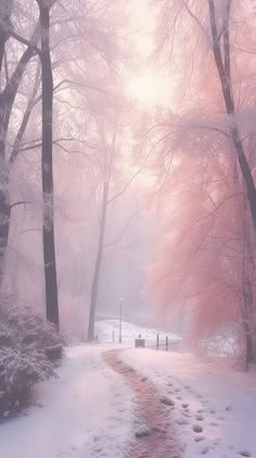 a path in the middle of a snow covered park