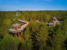 an aerial view of a treetop walkway in the middle of a forest with trees surrounding it