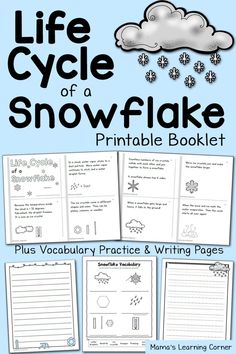 the life cycle of a snowflake printable booklet for kids and adults