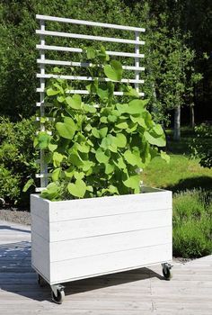 a white planter sitting on top of a wooden deck