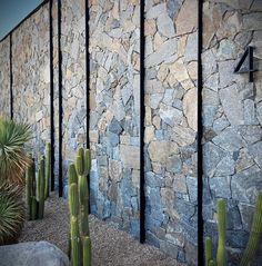 a stone wall next to cactus plants and rocks