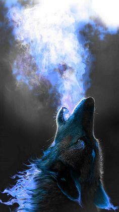 Water Wolf, Blue Wolf, Blue Wolf Aesthetic, Wolf Screensaver, Wolf Wallpapers For Phone, Wolf Dark Wallpaper, Blue Wolf Wallpaper, Wolfs Rain Wallpapers, Wolf Face Paint