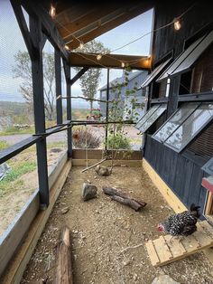 a chicken is sitting on the ground in an enclosed area