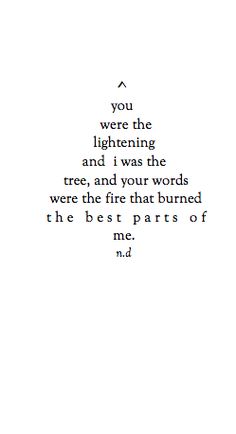 a poem written in black and white with the words you were the lightning and i was the tree, and your words were the fire that burned the best parts of me