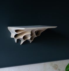 a wooden shelf sitting on top of a wall next to a green leafy plant