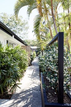 the walkway is lined with plants and trees