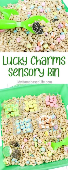 this lucky charms memory bin is great for kids to play with and learn how to use it