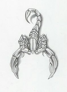 a drawing of a scorpion on a white paper with the letter s in it's claws