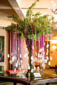 an open book with notes attached to it and a tree in the middle filled with cards