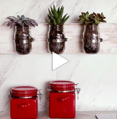 three mason jars with succulents are hanging on the wall