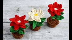 three crocheted flowers in small pots on a table