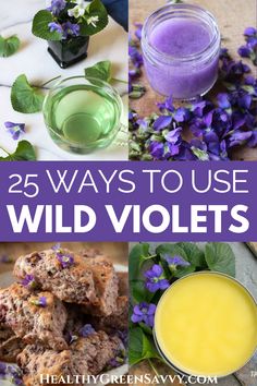 Violet Recipes, Medicine Garden, Natures Bounty, Wild Violets, Edible Flowers Recipes, Wild Foraging, Wild Food Foraging