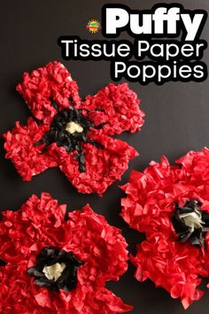 tissue paper poppys with the title puffy tissue paper poppies