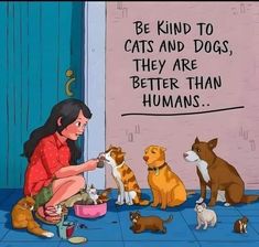 a woman feeding her cats and dogs in front of a sign that says be kind to cats and dogs, they are better than humans