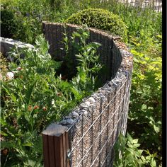 a garden with many plants and rocks in the center, along side a fenced area