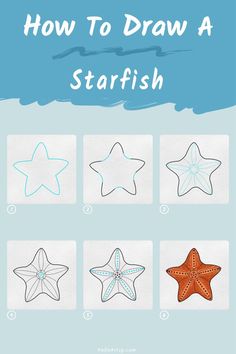 6 steps demonstrating how to draw a how to draw a starfish for kids. How To Draw A Starfish, Breakfast Club Art, Starfish Crafts, Fish Doodles, Starfish Drawing, Starfish Craft, Starfish Painting