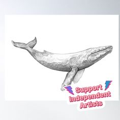 High-quality posters to hang in dorms, bedrooms or offices. Multiple sizes are available. Printed on 185gsm semi gloss poster paper. Additional sizes are available. This Humpback Whale design is part of an Endangered Species art collection. More info about the artist: Whale Design, Whale Art, Humpback Whale, Drawing Sketches, Quality Posters