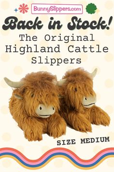 If you've been missing these Highland Cows...never fear, Size Mediums are here! Northern Scotland, Long Horns