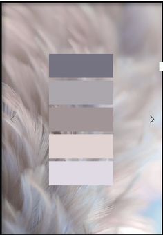 an image of some white feathers with grey and beige colors on it's side