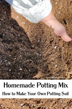 a hand is dipped into a pile of potting soil Outdoor Potted Plants, Garden Soil Mix, Mushroom Compost, Growing Seedlings, Miracle Grow, Potted Plants Outdoor, Plant Parent, Home Vegetable Garden, Backyard Farming