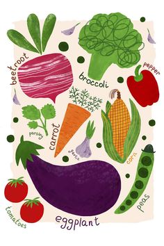 an eggplant, carrots, broccoli, radishes and peppers