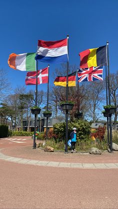 several flags are flying in the wind on poles