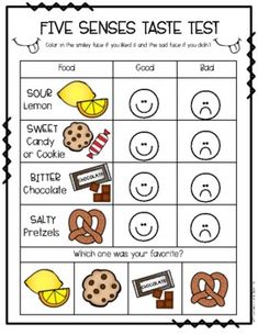 five senses taste test with cookies, pretzels, lemons and other treats