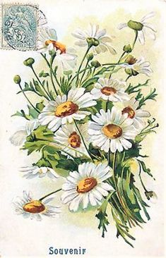 an old postcard with daisies and other flowers in the center, on a white background