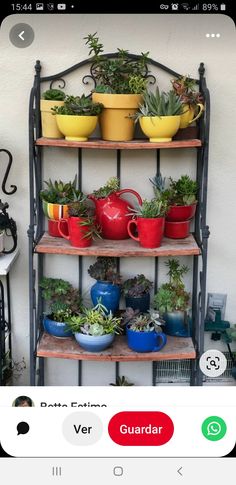 an iphone screenshot of a potted plant shelf with plants on top and below