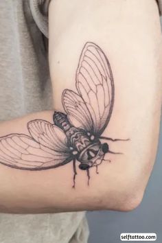 a small black and white insect tattoo on the arm