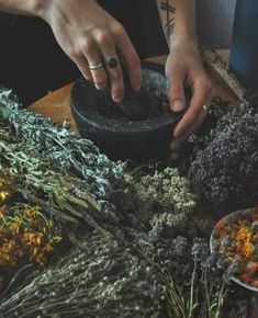 Hogwarts Subjects, Tea Love, Mother Nature Tattoos, Magia Das Ervas, Green Witchcraft, Most Popular Recipes, Witch Aesthetic, Nature Tattoos, Healing Herbs