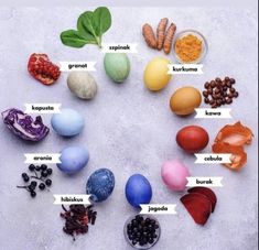 an image of eggs in the shape of a circle with different types of food around it