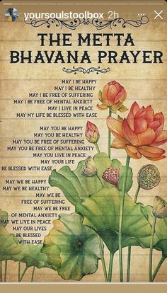 Metta Bhavana, Metta Meditation, Lotus Wall Art, Meditation Scripts, Buddhist Wisdom, Loving Kindness Meditation, Buddhist Prayer, Meditation Mantras, Buddha Teachings