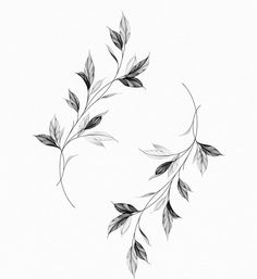 a black and white drawing of leaves