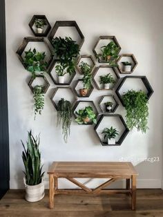 a bunch of plants are hanging on the wall next to a wooden table and bench