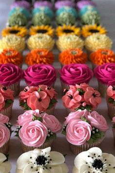 cupcakes decorated with pink, yellow, and purple icing are arranged in rows