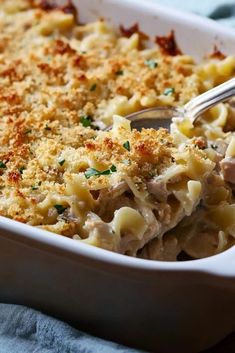 Creamy Tuna Casserole, Tuna Casserole Recipes, Fresh Tuna