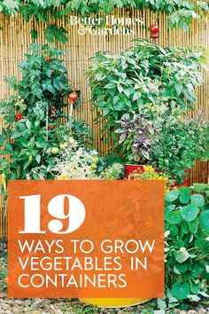 an orange sign that says 19 ways to grow vegetables in containers