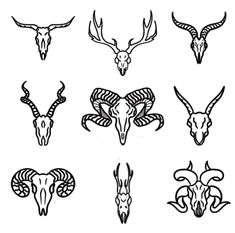 an image of different animal heads