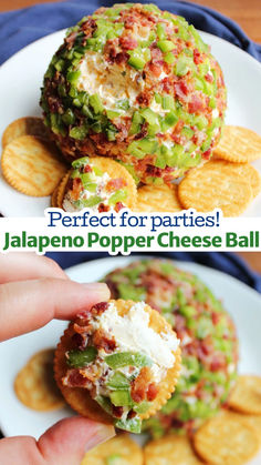 the perfect appetizer for parties is jalapeno popper cheese ball