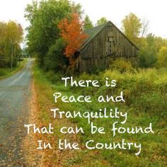 there is peace and tranquility that can be found in the country