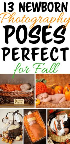 newborn photography poses perfect for fall with pumpkins, leaves and other things to do