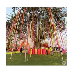 people are standing in the grass near many colorful sticks