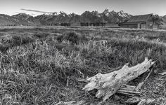 black and white photograph of an old log in the grass with mountains in the background