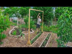 a man standing in the middle of a garden with lots of plants and raised beds