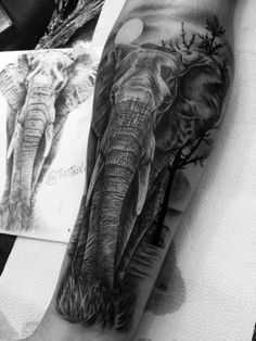 an elephant tattoo on the arm and leg with pictures of elephants in black and white