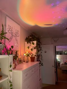 a room filled with lots of plants next to a white dresser topped with potted plants